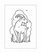 Goat Coloring Pages – Printable FREE sketch template