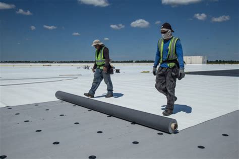 Single Ply Roofing Systems: Everything You Need to Know