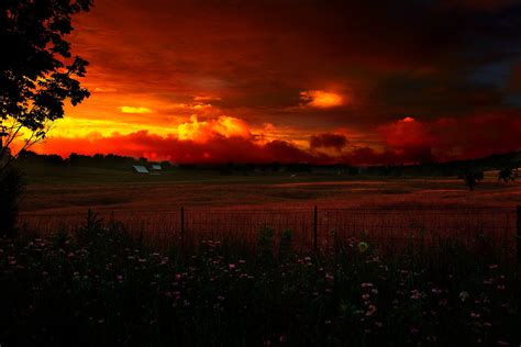 Country Farm Summer Evening Sunset | The Sky| Free Nature Pictures by ForestWander Nature ...
