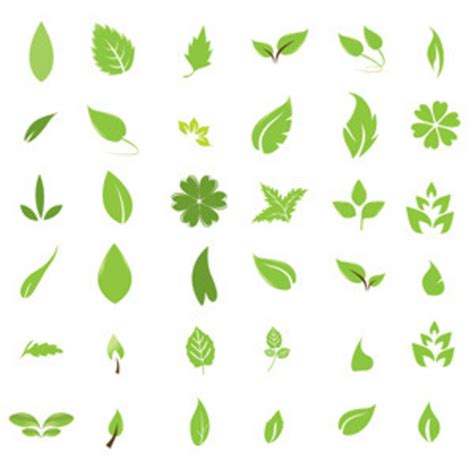 Green Leaf Design Elements | FreeVectors