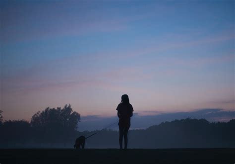 How To Safely Walk Your Dog At Night — Dog Whisperer® HQ