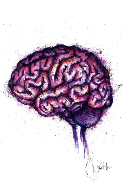 Brain Painting Unique Anatomy Art Print Watercolor and Ink - Etsy ...