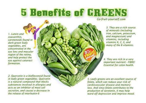 5 Benefits of Greens | ENCYCLOPEDIA OF FOOD FOR HEALTH AND WELL-BEING