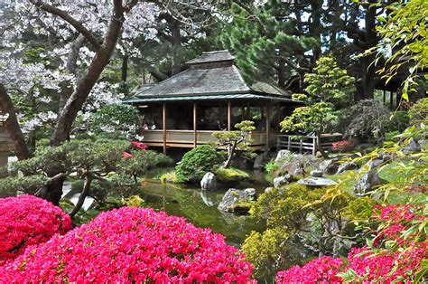 Japanese Tea Garden, Golden Gate Park, San Francisco, CA Had a magical afternoon here. | Tea ...