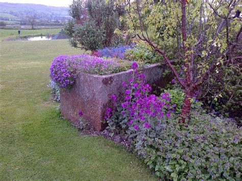 Charity open gardens near Ashbourne, Derbyshire #open #gardens #plants for sale | Plants ...