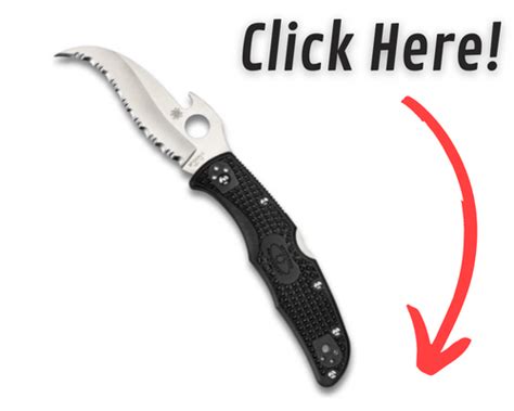 Spyderco Civilian Vs Matriarch [Which Is The Right Knife For You ...