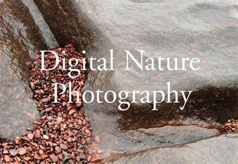 Digital Nature Photography book