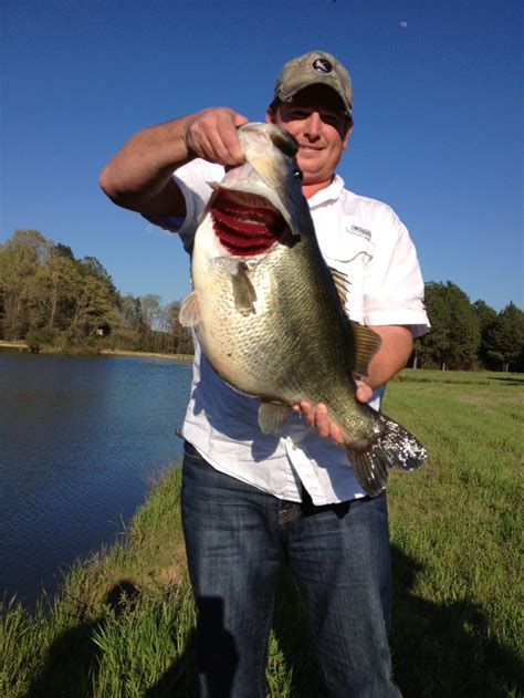 Anyone Catching Big Bass? - Fishing Reports - Bass Fishing Forums