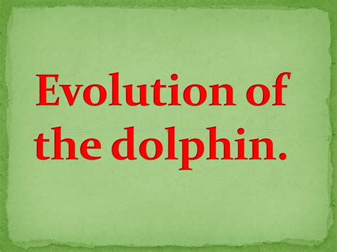 PPT - Evolution of the dolphin . PowerPoint Presentation, free download - ID:6514548