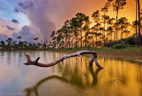 Pine Sunset | Long Pine Key, Everglades National Park, Florida | Florida Landscape Photography ...