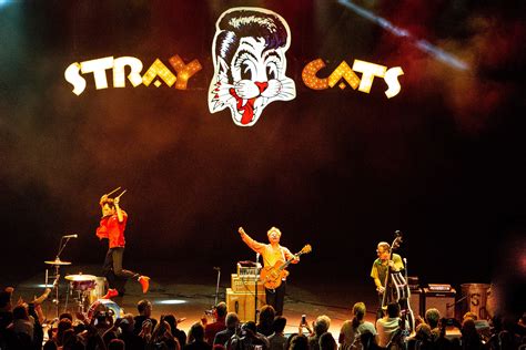 Stray Cats to Mark 40th Anniversary With New Album, Tour - Rolling Stone