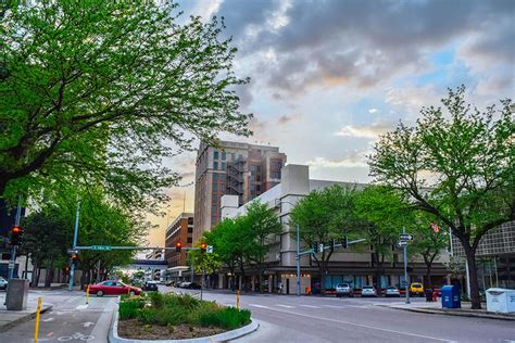 Downtown Lincoln’s Urban Arboretum Continues to Branch Out | Downtown ...