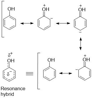 Explain why phenol is activated towards electrophilic aromatic substitution and directs ...