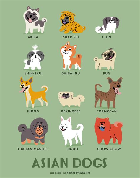 Dogs Of The World: Cute Posters Show The Origins Of 200+ Dog Breeds | Bored Panda