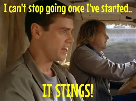 Dumb And Dumber | Movie quotes funny, Classic movie quotes, Favorite movie quotes