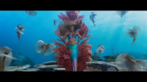 Halle Bailey says new Little Mermaid will be more "modern" than the original - PopBuzz