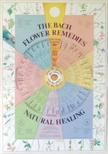 Bach Flower Essence Books and Charts | Bach flower remedies, Flower ...