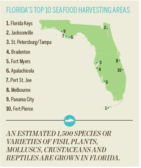 Oceans of Florida Seafood - Farm Flavor