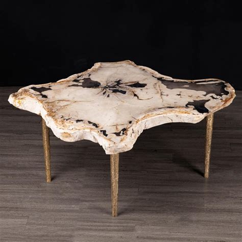 Side or Coffee Table, Petrified Wood with Solid Bronze Base For Sale at 1stDibs