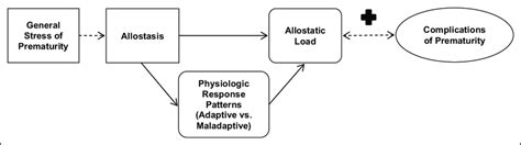 Model of allostatic load and complications of prematurity. Note ...