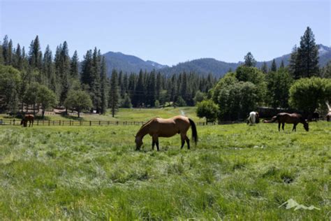 An Inside Look at the Life Changing Camp JH Ranch - Family Savvy