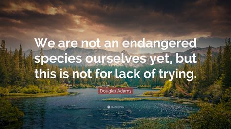 Douglas Adams Quote: “We are not an endangered species ourselves yet, but this is not for lack ...