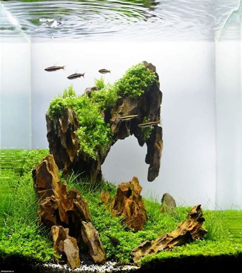 Stunning Aquascape Design Ideas 37 | Aquascape design, Aquarium ...