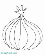 Onion Coloring Pages Printable sketch template