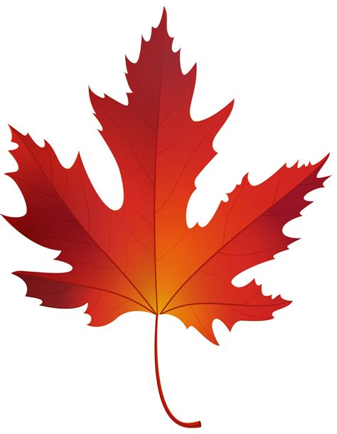 feuille d'érable d'automne 15100046 PNG