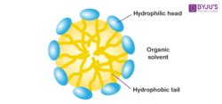 Micelle - Reverse Micelles | Supercells | Applications of Micelle