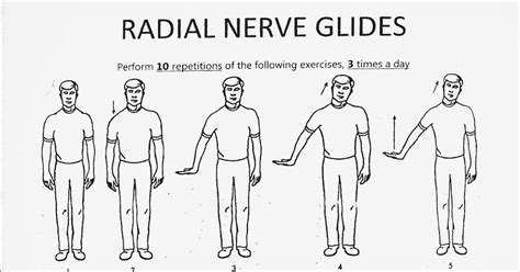 Exercises For Radial Nerve Palsy - vrogue.co