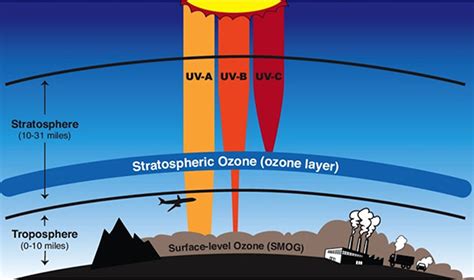 The Ozone Layer | Center for Science Education