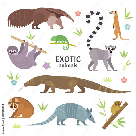 Exotic animals. Vector illustration with flat animals, including anteater, Ring-tailed lemur ...