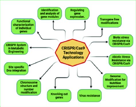 Direct applications of CRISPR/Cas technology | Download Scientific Diagram