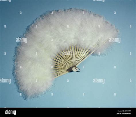 Marabout blanc hi-res stock photography and images - Alamy