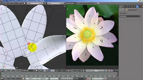 Flower Model Blender | Best Flower Site