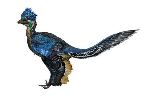 11 Terrifying Feathered Dinosaurs: A Fascinating Reinterpretation