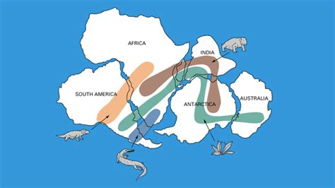 Image Result For Fossil Evidence Of Pangaea On World Map Continental | My XXX Hot Girl