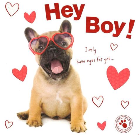 Hey Boy Cute Puppy Dog Valentine's Day Greeting Card | Cards