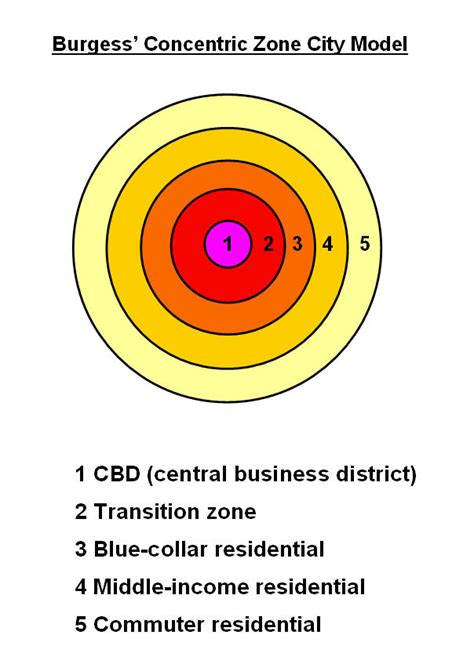 The Structure of Cities