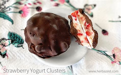 Strawberry Yogurt Clusters | HerbaZest