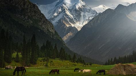 Kyrgyz Republic, peak Yeltsin [1920x1080] : r/wallpaper