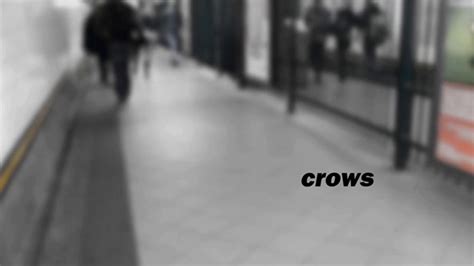Crows by Lori Lamothe | Moving Poems