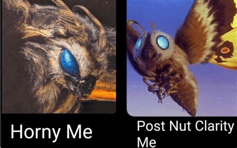 Mothra meme is the best meme : r/GODZILLA