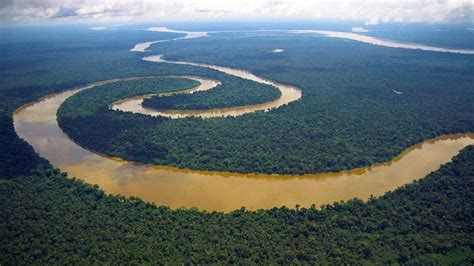 Amazon Rainforest Tours | Travel Blog | Cusco Peru Travel | River, Amazon rainforest, Amazon river