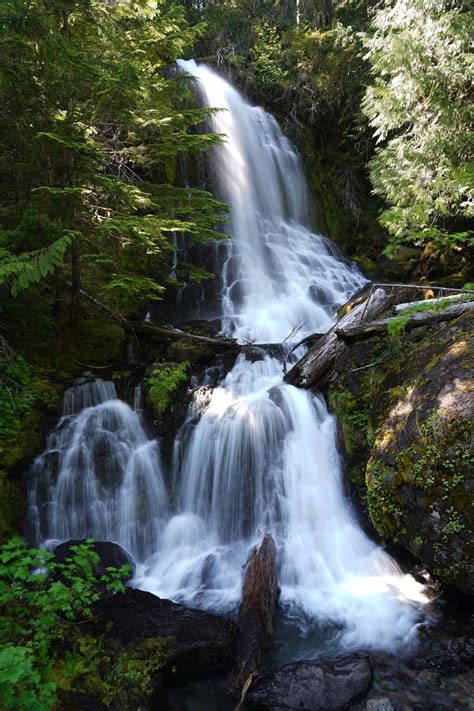 Falls Creek Falls - Roadside Waterfall in Mt Rainier