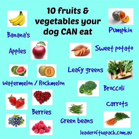 Printable List Of Fruits And Vegetables Dogs Can Eat, Web dogs don't need fruits as part of ...