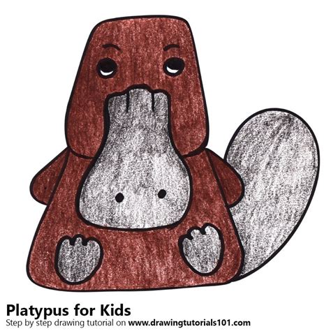 How to Draw a Platypus for Kids (Animals for Kids) Step by Step | DrawingTutorials101.com