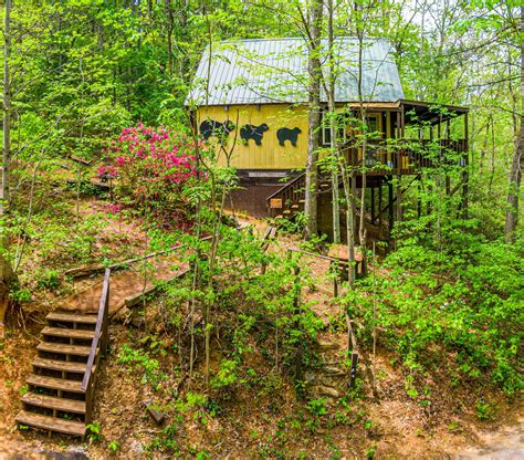 Helen Ga Cabins with a view of the River