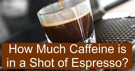 How Much Caffeine is in a Shot of Espresso? - dripped.coffee